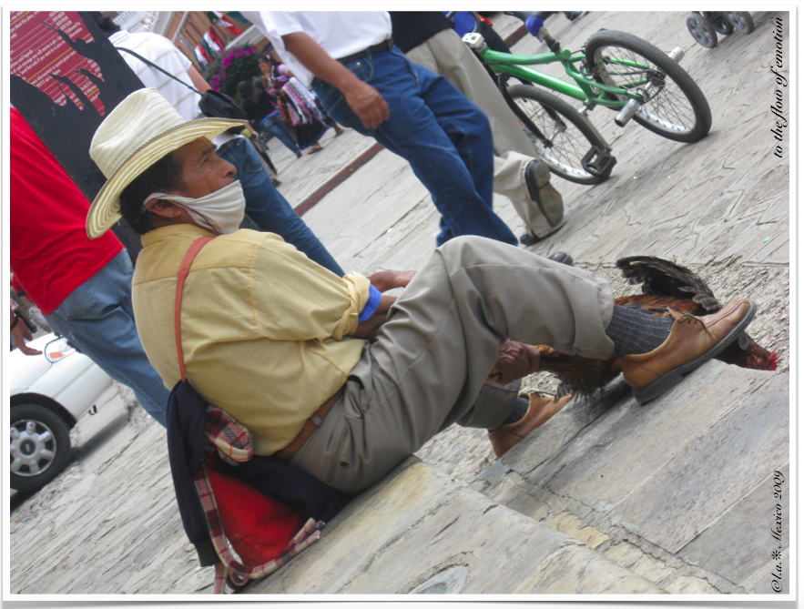 Article : Un jour, une grippe, au Mexique, en 2009