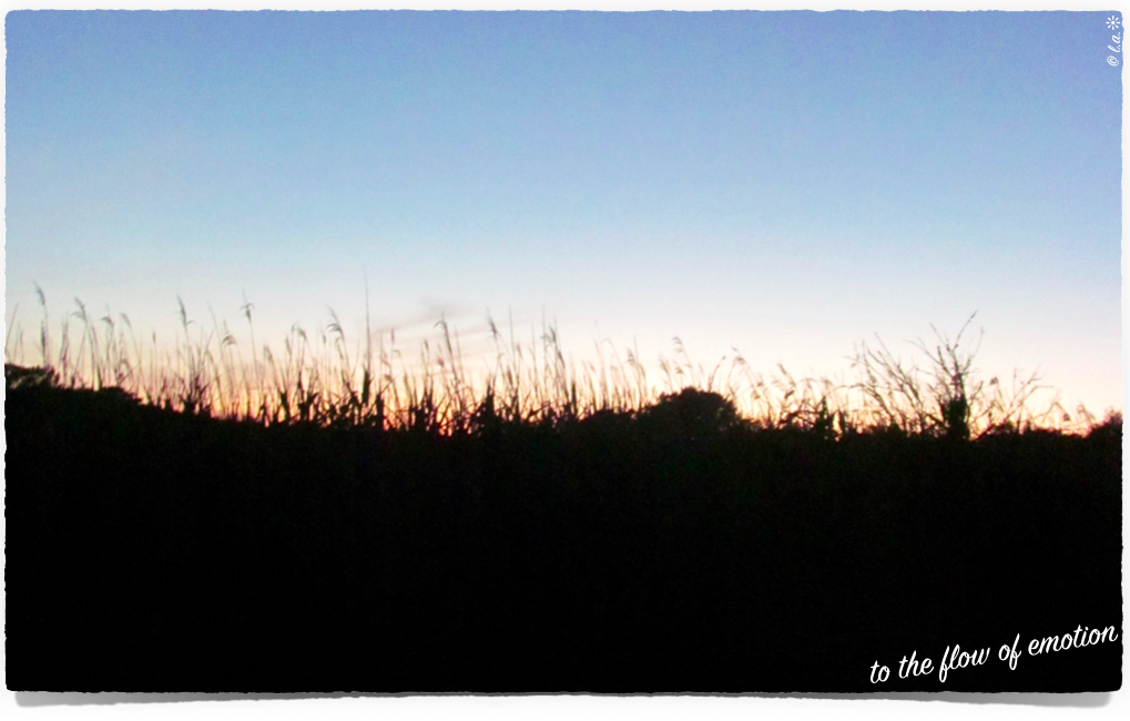 Article : Apr&egrave;s confinement, un monde diff&eacute;rent ?