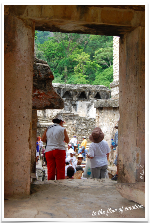 Article : Le touriste, un sp&eacute;cimen identifiable 😅