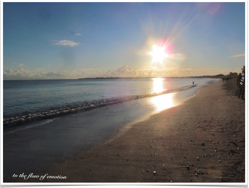 Article : Ce que 2020 m&rsquo;a appris.. vers une nouvelle ann&eacute;e lib&eacute;r&eacute;e 🍃