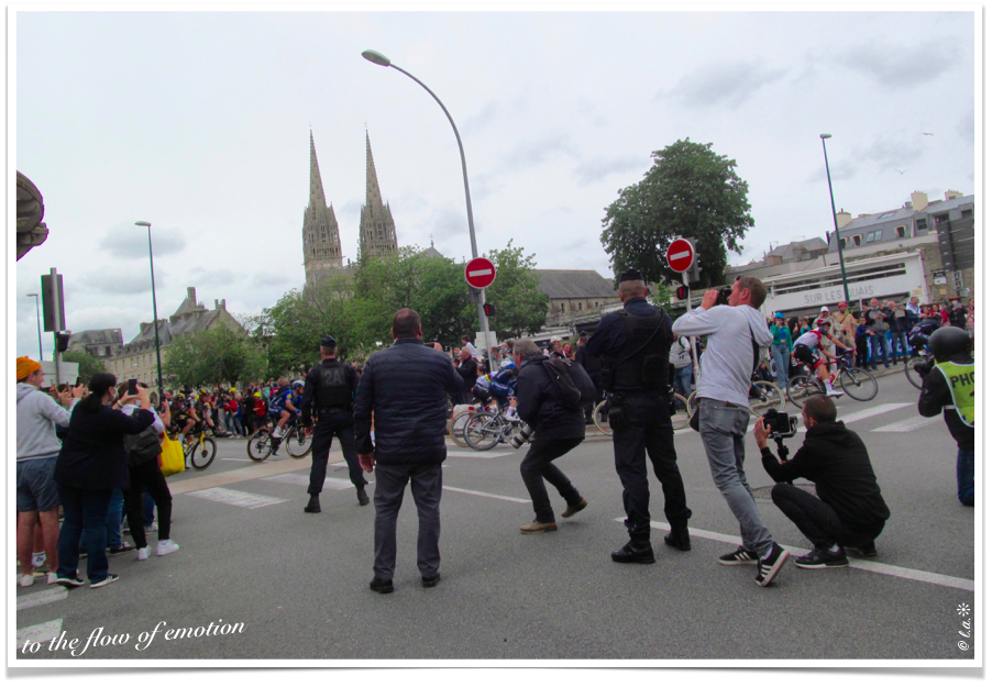 Article : Tour de France, une tradition ?